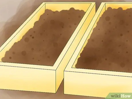 Сажать гортензии Шаг 05