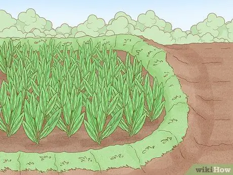 Защита посевов от сильного дождя Шаг 11