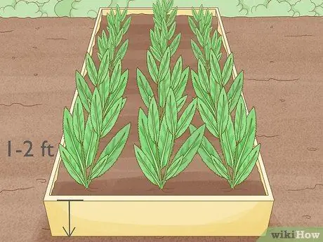 Защита посевов от сильного дождя Шаг 12