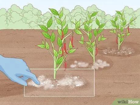 Защита посевов от проливного дождя Шаг 13