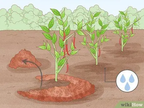 Защита посевов от сильного дождя Шаг 16