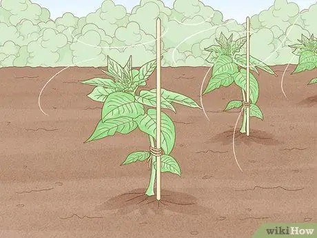 Защита посевов от проливного дождя Шаг 3