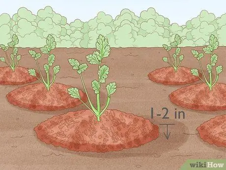 Защита посевов от сильного дождя Шаг 5