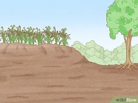 Защита посевов от сильного дождя Шаг 7