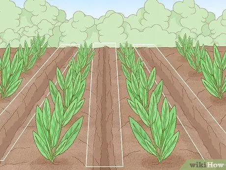 Защита посевов от проливного дождя Шаг 9