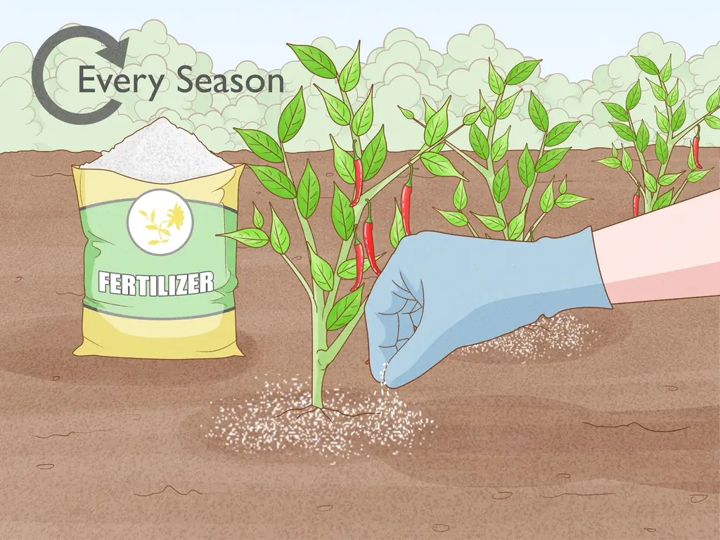 Проверенные способы защиты посевов от сильного дождя и повреждения водой