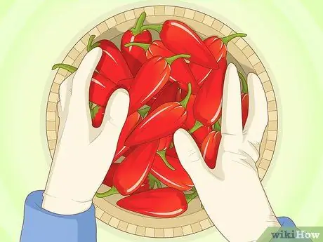 Выращивание призрачного перца Шаг 20