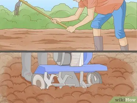 Использование севооборота в садоводстве Шаг 8
