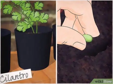 Сажать овощи Шаг 3