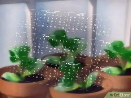 Сажаем овощи Шаг 4