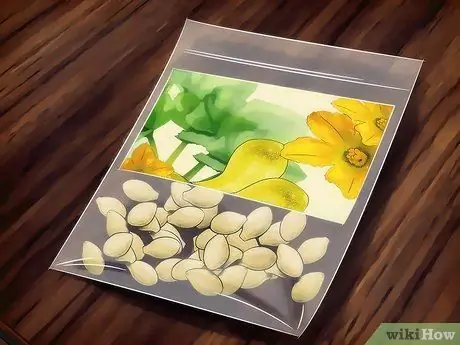 Сажать овощи Шаг 5