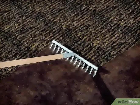 Сажать овощи Шаг 8