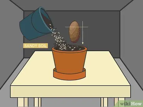 Расти Таро Шаг 03