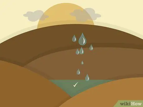 Расти Таро Шаг 06