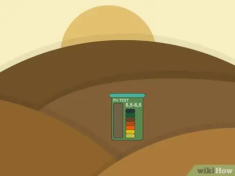 Расти Таро Шаг 07