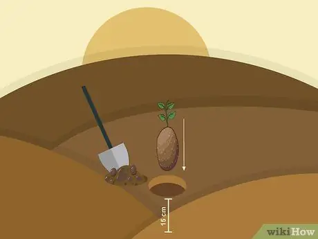 Расти Таро Шаг 08