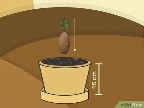 Расти Таро Шаг 09