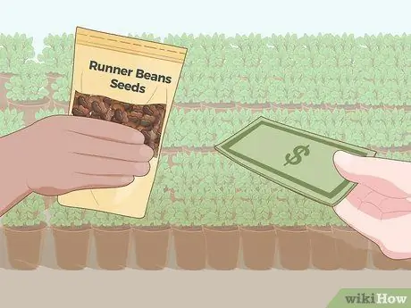 Выращивание фасоли бегунов Шаг 1