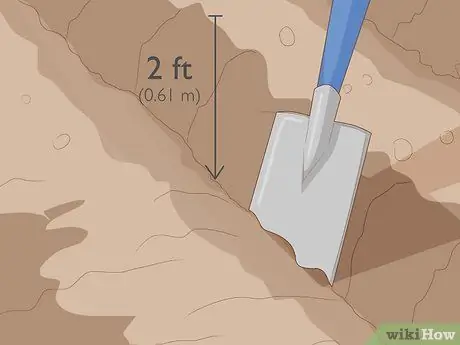 Выращивание фасоли бегунов Шаг 7