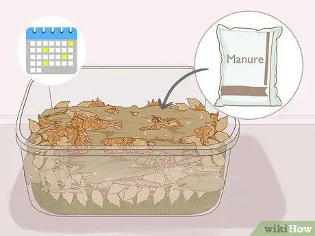 Выращивание мотыля Шаг 10