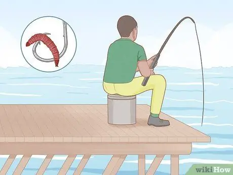 Выращивание мотыля, шаг 12