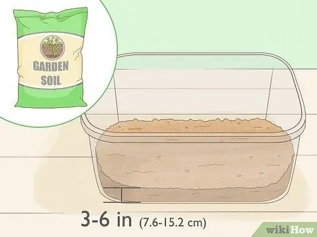 Выращивание мотыля, шаг 2