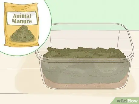 Выращивание мотыля, шаг 3