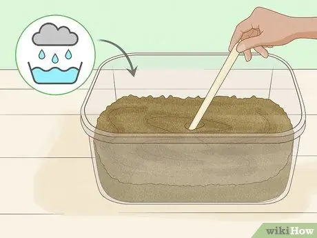 Выращивание мотыля, шаг 4