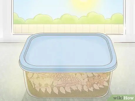 Выращивание мотыля Шаг 8