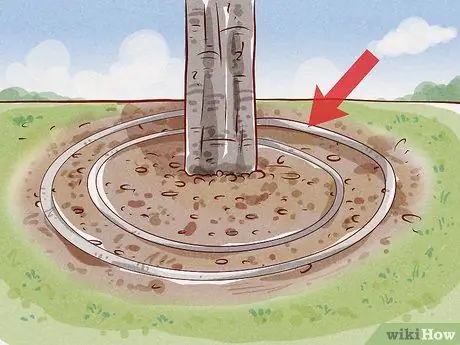 Подрезать корни Шаг 10