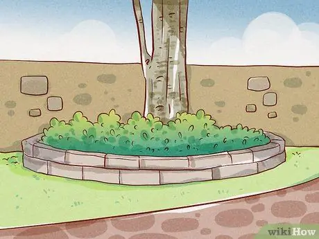 Подрезать корни Шаг 15