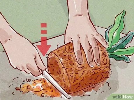 Подрезать корни, шаг 2