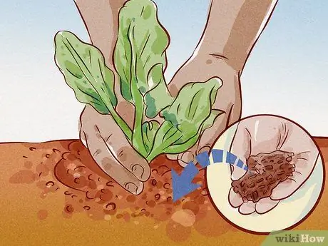 Подрезать корни Шаг 5