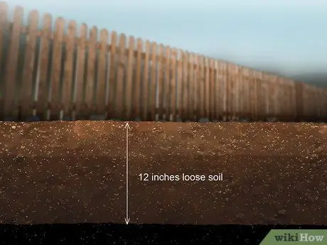 Выращивание Daikon, шаг 2