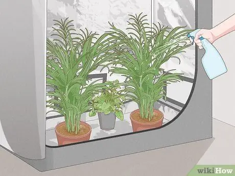 Увеличьте относительную влажность в палатке для выращивания. Шаг 10