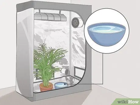 Увеличьте относительную влажность в палатке для выращивания, шаг 2