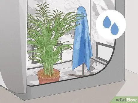 Увеличьте относительную влажность в палатке для выращивания, шаг 3