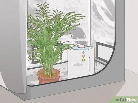 Увеличьте относительную влажность в палатке для выращивания, шаг 4