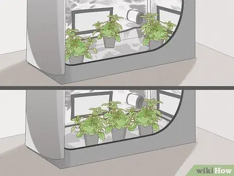 Увеличьте относительную влажность в палатке для выращивания Шаг 9