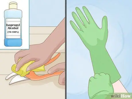 Чернослив Кротон Шаг 1