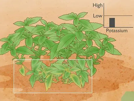 Использование калийных удобрений, шаг 1