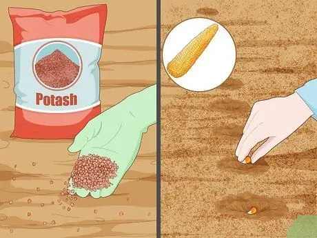 Use Potash Step 10