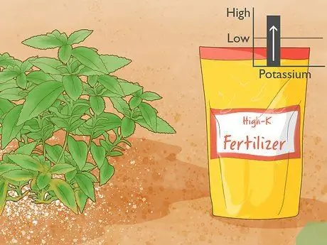 Используйте Potash Step 3