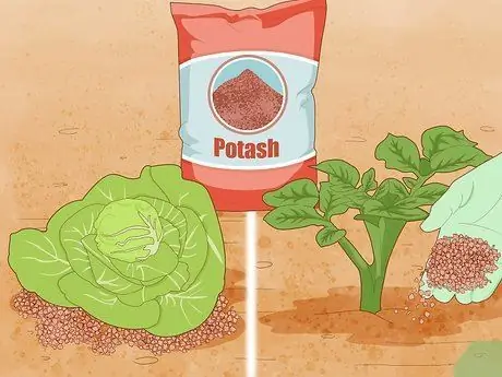 Используйте Potash Step 4