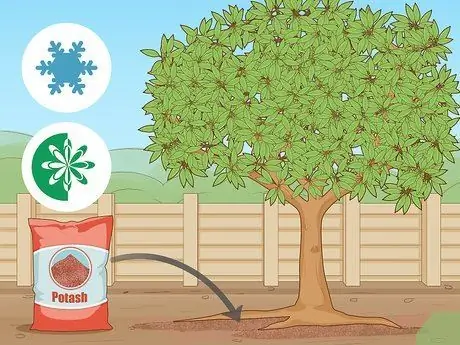 Используйте Potash Step 5