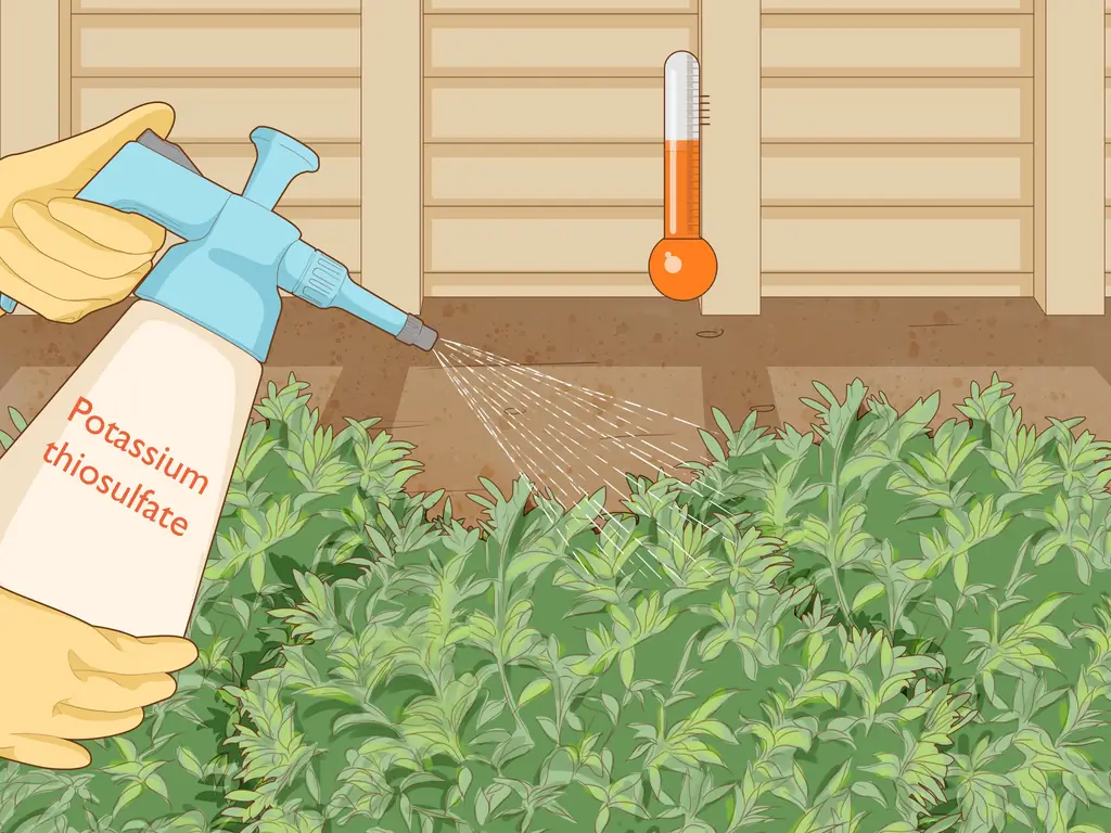 3 способа использования калийных удобрений