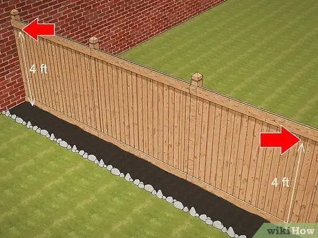 Выращивайте виноградную лозу на заборе, шаг 2