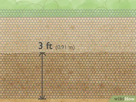 Защитите растения Шаг 10