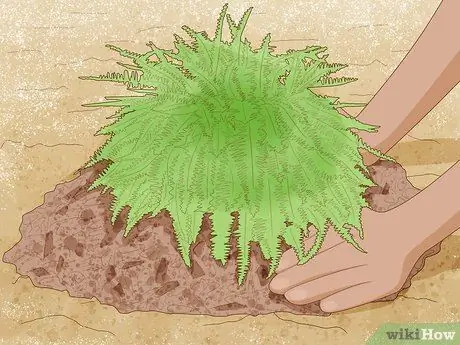 Защитите растения, шаг 3