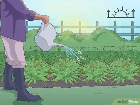 Защитите растения, шаг 7